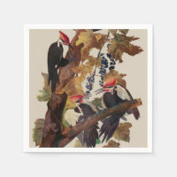 Audubon Pileated Woodpecker Bird Painting