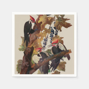 Audubon Pileated Woodpecker Bird Painting Napkin