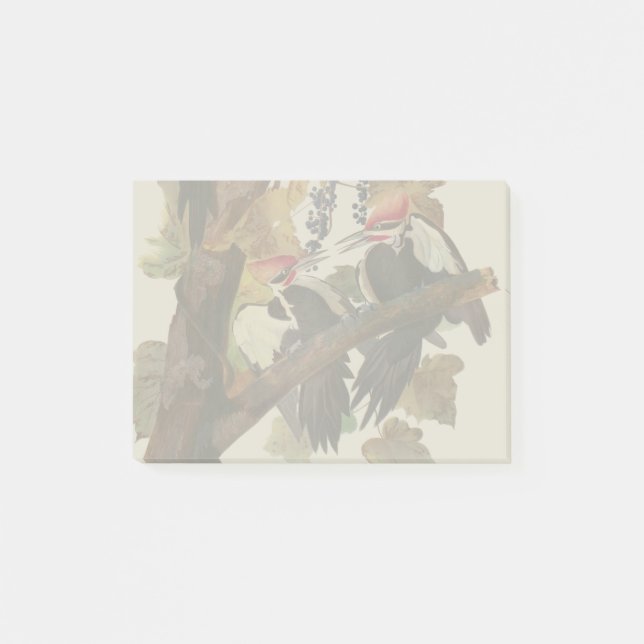 Audubon Pileated Woodpecker Bird Painting Post-it Notes (Front)