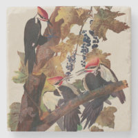Audubon Pileated Woodpecker Bird Painting