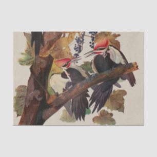 Audubon Pileated Woodpecker Bird Painting Tissue Paper