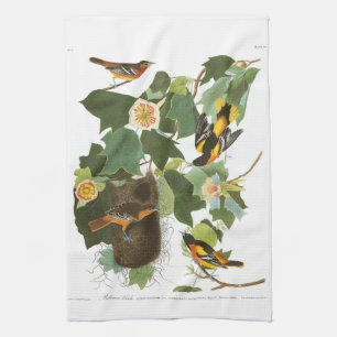 Audubon Plate 12 Baltimore Oriole Kitchen Towel