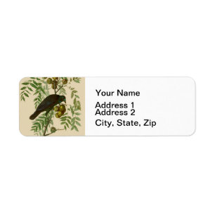 Audubon Purple Grackle Bird Print Vintage Botanic