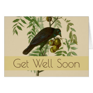 Audubon Purple Grackle Bird Print Vintage Botanic