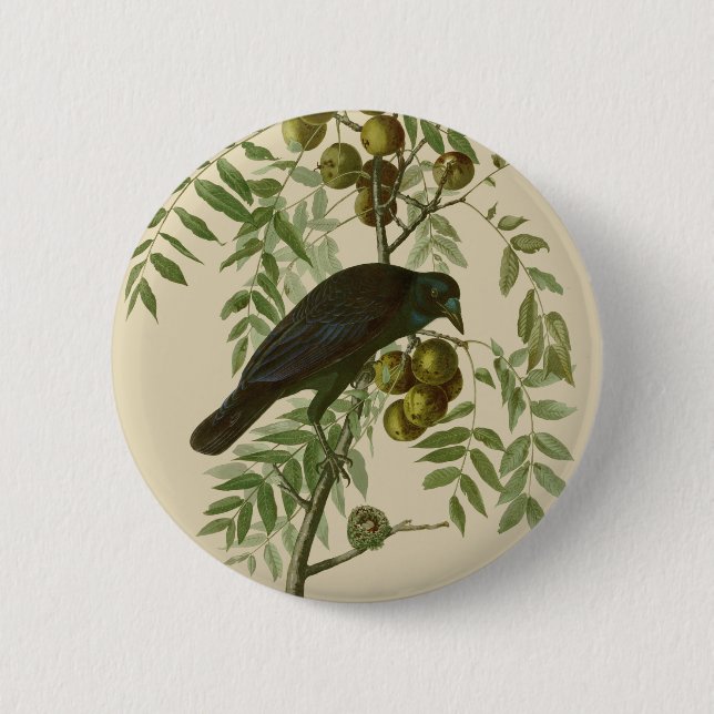 Audubon Purple Grackle Bird Print Vintage Botanic 2 Inch Round Button (Front)