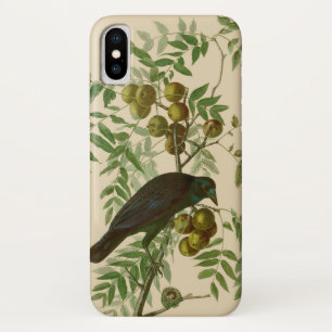 Audubon Purple Grackle Bird Print Vintage Botanic Case-Mate iPhone Case