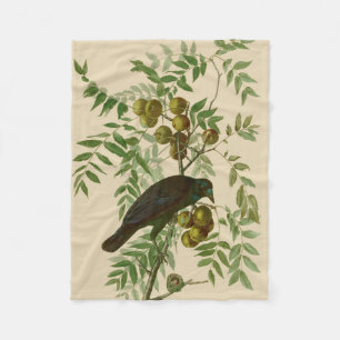 Audubon Purple Grackle Bird Print Vintage Botanic Fleece Blanket