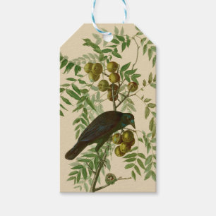 Audubon Purple Grackle Bird Print Vintage Botanic Gift Tags