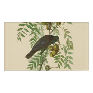 Audubon Purple Grackle Bird Print Vintage Botanic Name Tag