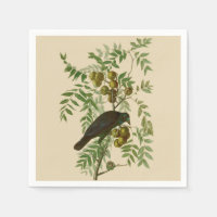 Audubon Purple Grackle Bird Print Vintage Botanic
