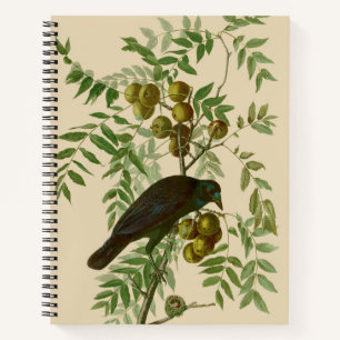 Audubon Purple Grackle Bird Print Vintage Botanic Notebook