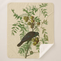 Audubon Purple Grackle Bird Print Vintage Botanic