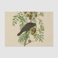 Audubon Purple Grackle Bird Print Vintage Botanic