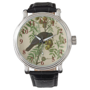 Audubon Purple Grackle Bird Print Vintage Botanic Watch