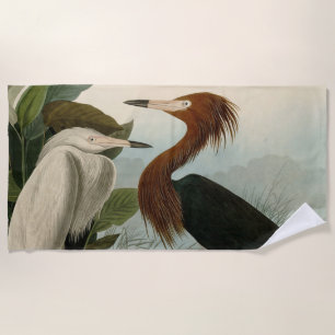 Audubon Purple Heron Reddish Egret Print: Bird Art Beach Towel