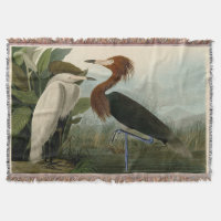 Audubon Purple Heron Reddish Egret Print: Bird Art