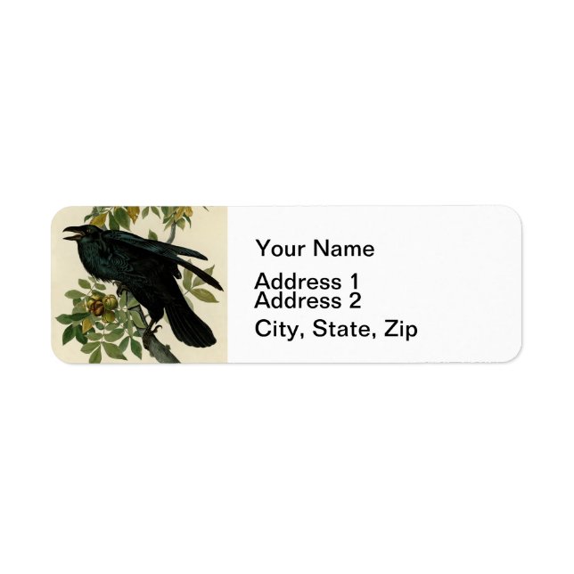 Audubon Raven Bird Classic Artwork (Front)