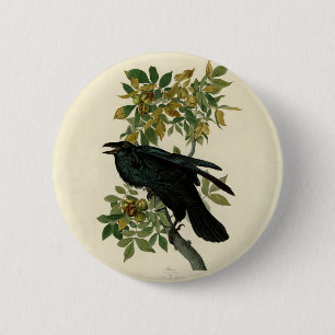 Audubon Raven Bird Classic Artwork 2 Inch Round Button