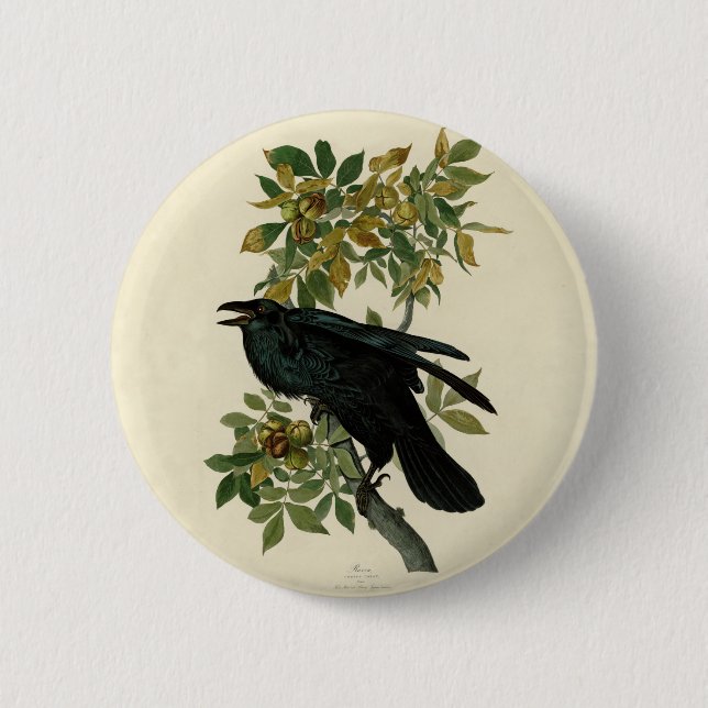 Audubon Raven Bird Classic Artwork 2 Inch Round Button (Front)