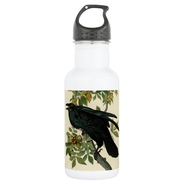 Audubon Raven Bird Classic Artwork 532 Ml Water Bottle (Front)