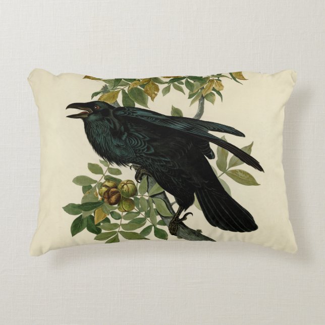 Audubon Raven Bird Classic Artwork Accent Pillow (Front)