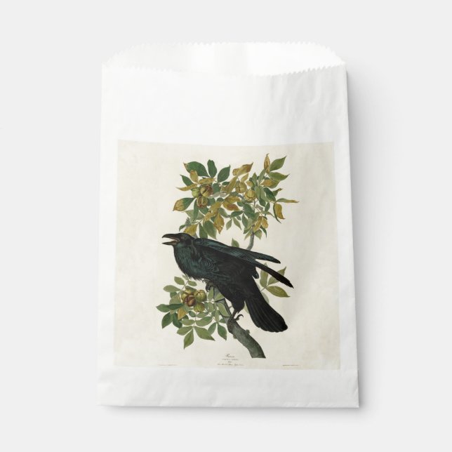 Audubon Raven Bird Classic Artwork Favour Bag (Front)