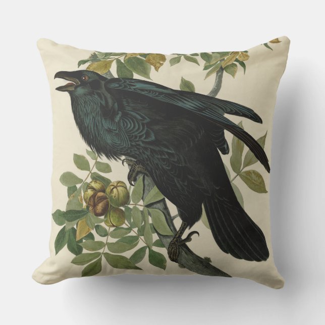 Audubon Raven Bird Classic Artwork Outdoor Pillow (Front)