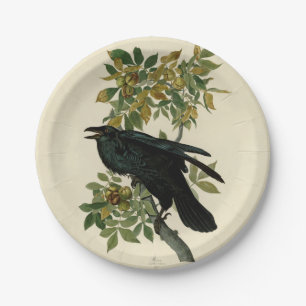 Audubon Raven Bird Classic Artwork Paper Plate