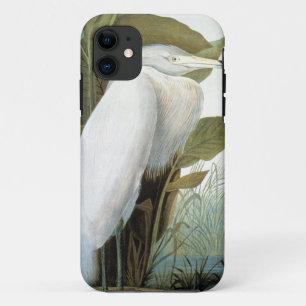 Audubon: Reddish Egret Or Purple Heron iPhone 11 Case