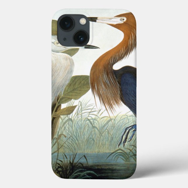 Audubon: Reddish Egret Or Purple Heron Case-Mate iPhone Case (Back)