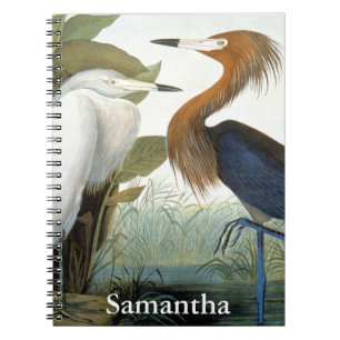 Audubon: Reddish Egret Or Purple Heron Notebook