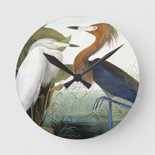 Audubon: Reddish Egret Or Purple Heron Round Clock (Front)