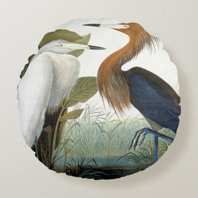 Audubon: Reddish Egret Or Purple Heron Round Pillow (Front)