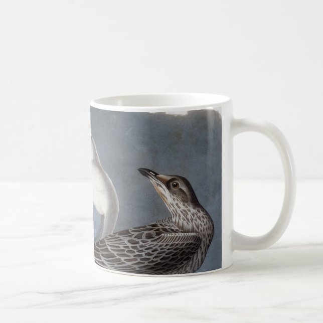 Audubon: Ring-Billed Gull Coffee Mug (Right)