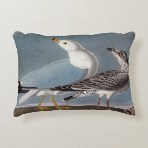 Audubon: Ring-Billed Gull Decorative Pillow