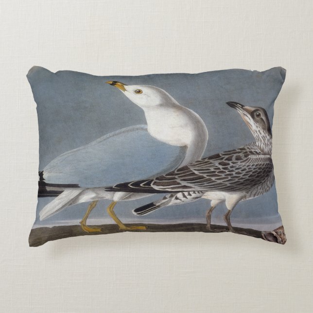Audubon: Ring-Billed Gull Decorative Pillow (Front)