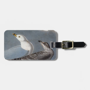 Audubon: Ring-Billed Gull Luggage Tag
