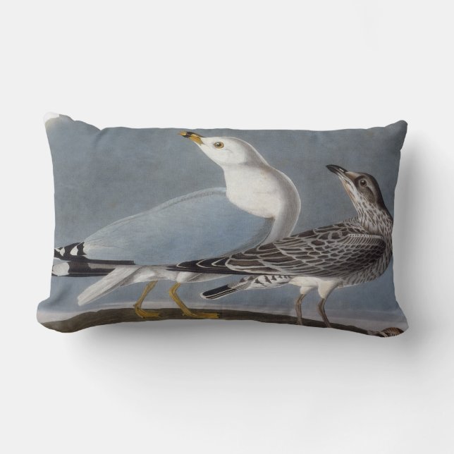 Audubon: Ring-Billed Gull Lumbar Pillow (Front)