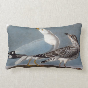 Audubon: Ring-Billed Gull Lumbar Pillow