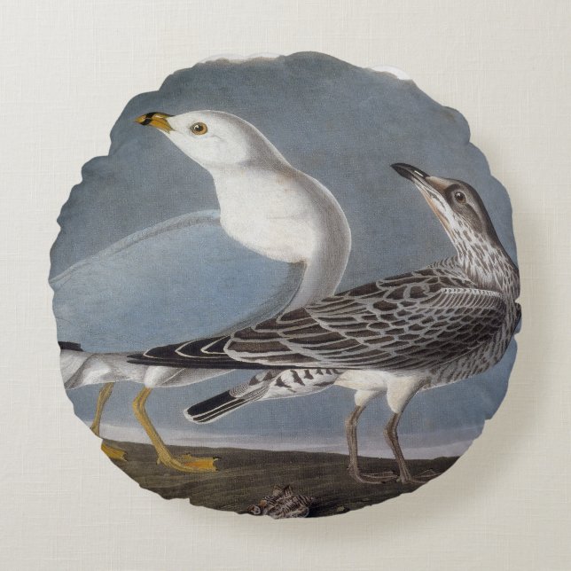 Audubon: Ring-Billed Gull Round Pillow (Front)