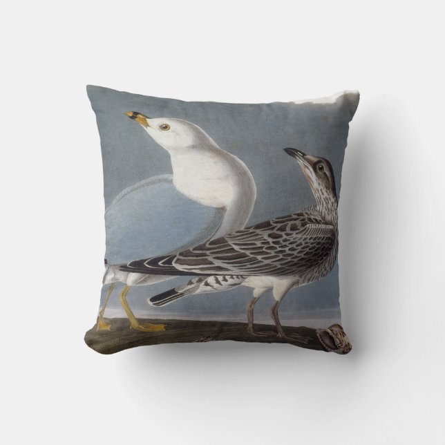 Audubon: Ring-Billed Gull Throw Pillow (Front)