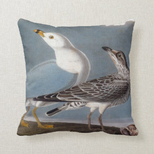 Audubon: Ring-Billed Gull Throw Pillow