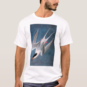 Audubon: Roseate Tern T-Shirt