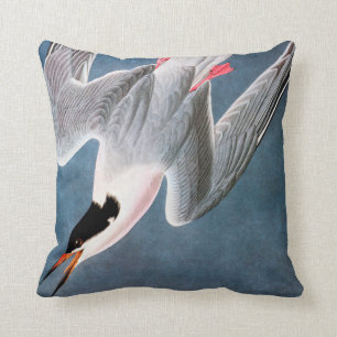 Audubon: Roseate Tern Throw Pillow