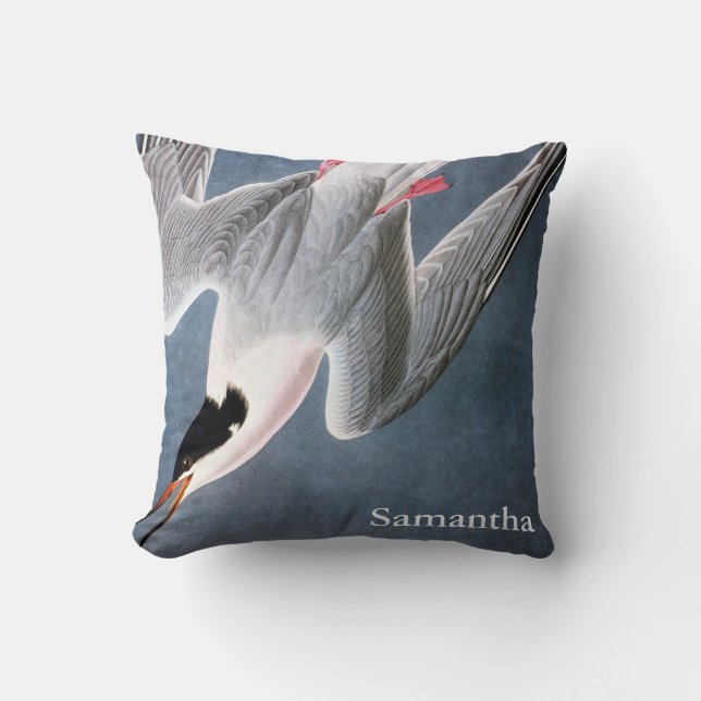 Audubon: Roseate Tern Throw Pillow (Front)