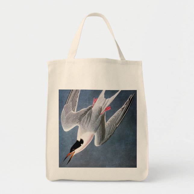 Audubon: Roseate Tern Tote Bag (Front)