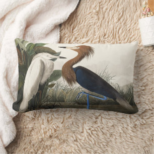 Audubon’s Purple Heron Bird Wildlife Artwork Lumbar Pillow