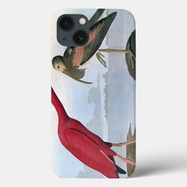 Audubon: Scarlet Ibis Case-Mate iPhone Case (Back)