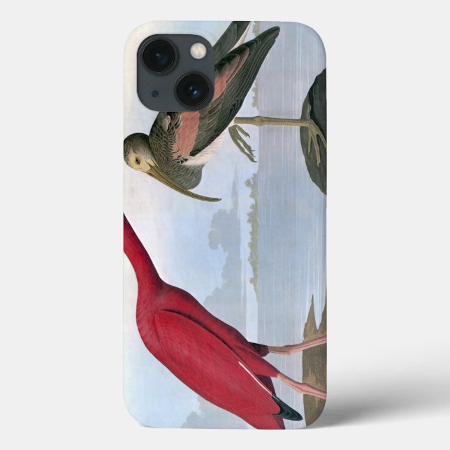 Audubon: Scarlet Ibis Case-Mate iPhone Case (Back)