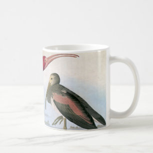 Audubon: Scarlet Ibis Coffee Mug
